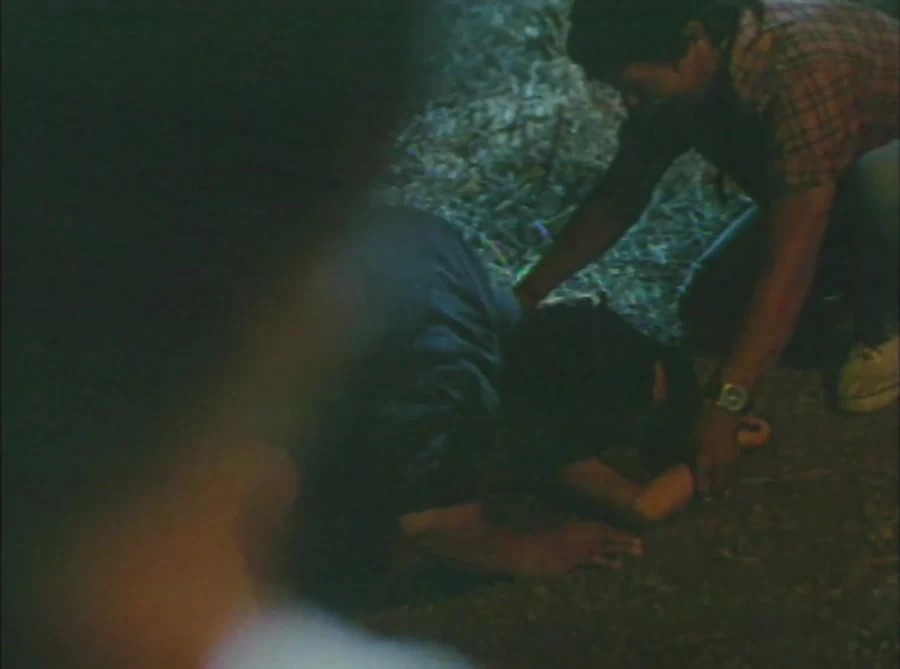 Sex in Philippine Cinema (2004)