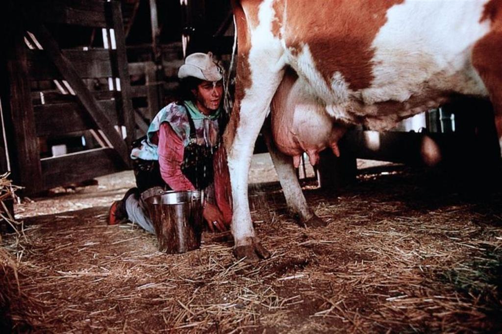Son in Law (1993)